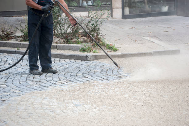 Best Animal Enclosure Cleaning  in El Segundo, CA